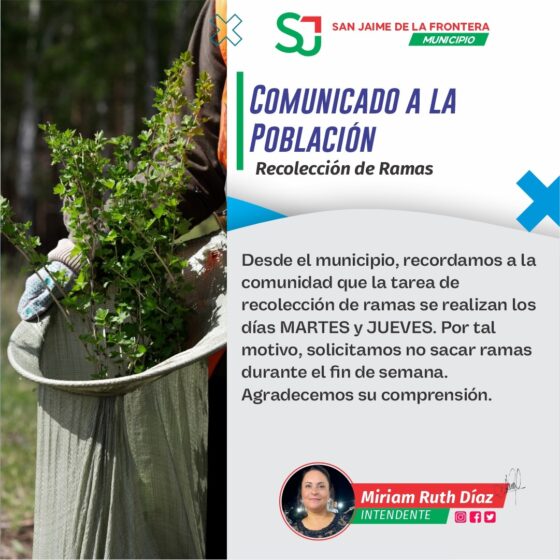 RECOLECCIÓN DE RAMAS