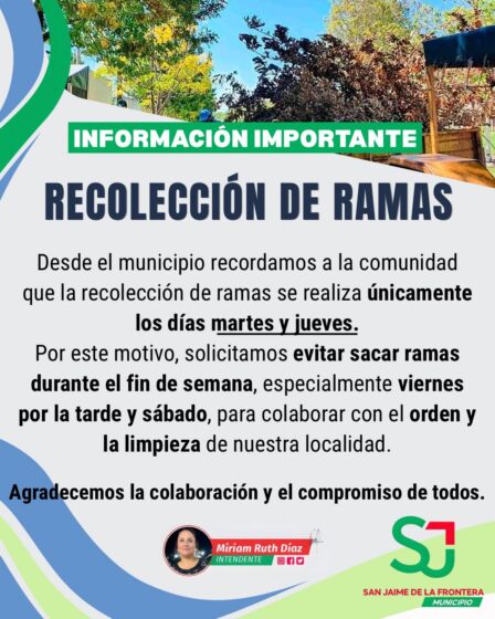 RECOLECCIÓN DE RAMAS